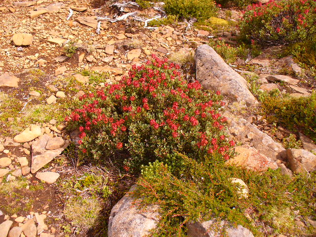 P1010215.JPG