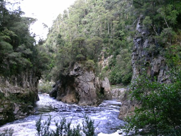 PTDC0313.jpg