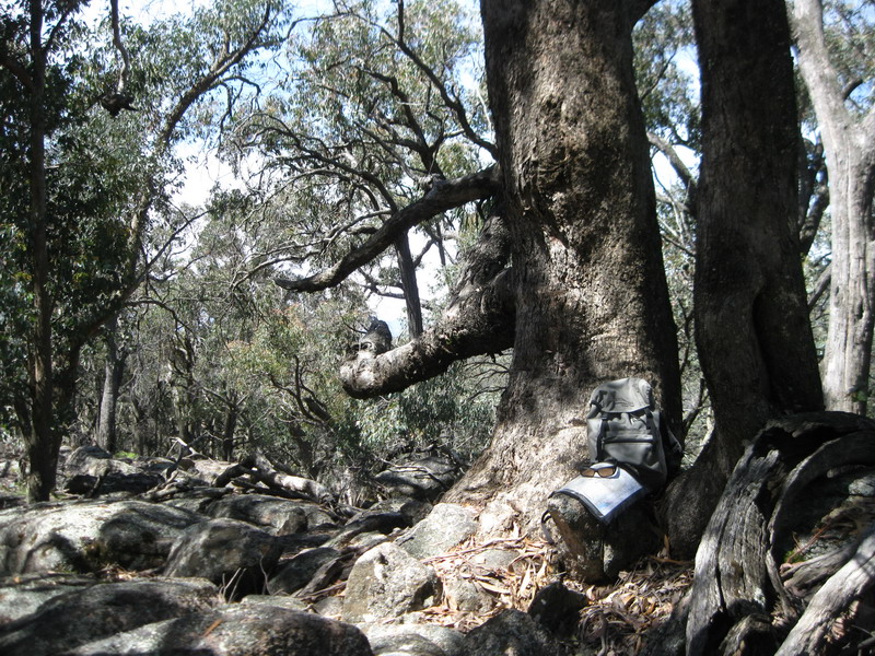 strathbogie-ranges.jpg