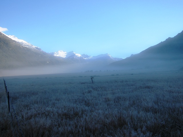 1 First Frost, Rees Track.JPG