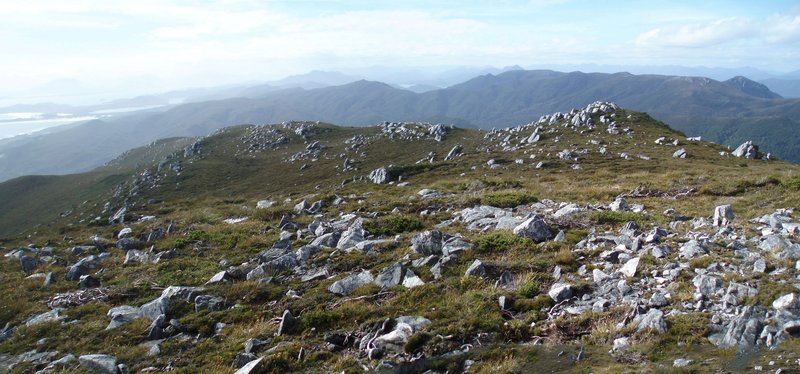 STU-PANARAMA3~cropped.jpg