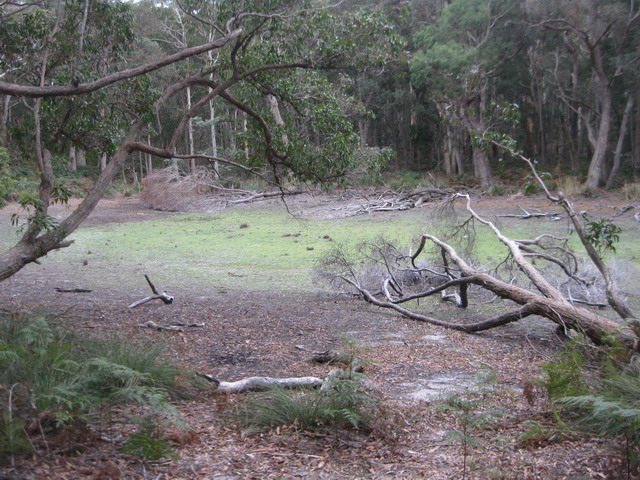 pix3.jpg