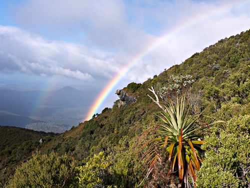 rainbow s sml.jpg
