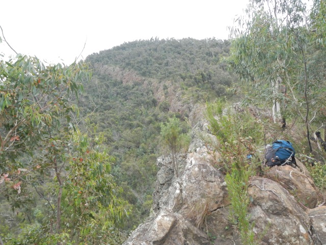 DSCN0243.jpg