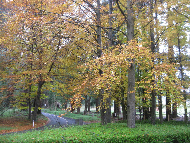 w1.jpg