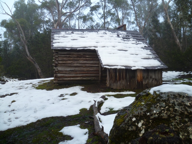 P1000207.JPG