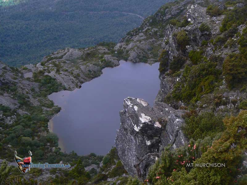 MT-MURCHISON-204.jpg