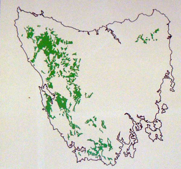 RAINFOREST-MAP-0802-02.jpg