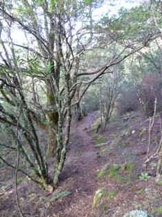 P1000250email.jpg