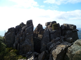 P1000252email.jpg