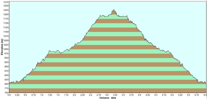 Iphone Elevation.JPG