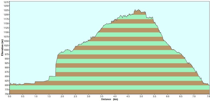 MM Elevation.JPG