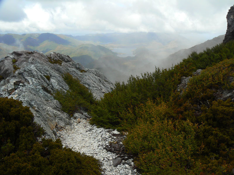 0404-MT-MURCHISON-139.jpg