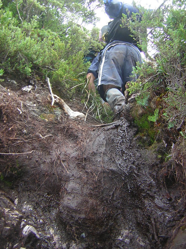 57 Andrew coming down.JPG