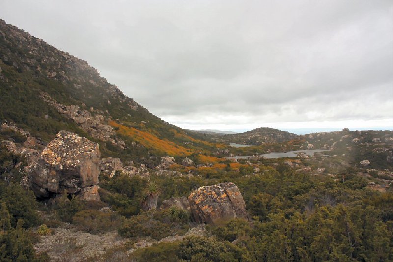 Tarn Shelf 01.JPG