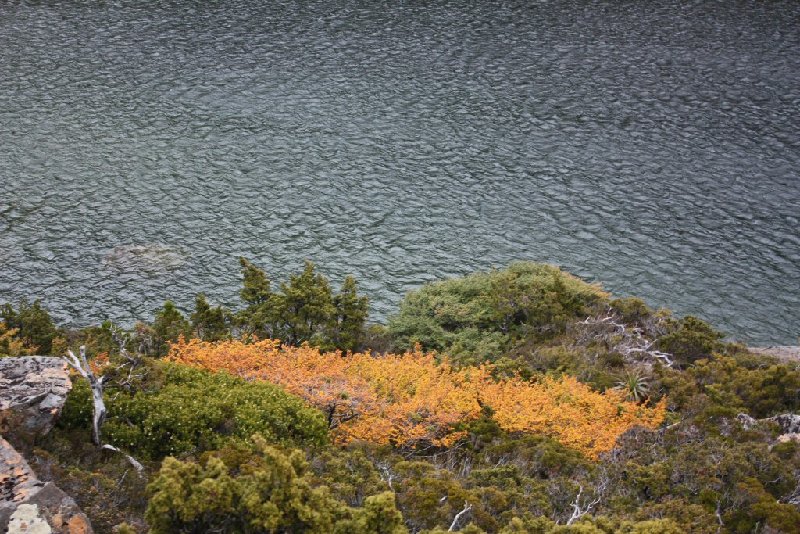 Tarn Shelf 03.JPG