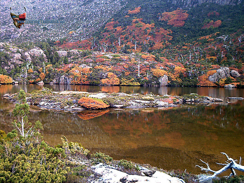 TARN-SHELF-04_28.jpg