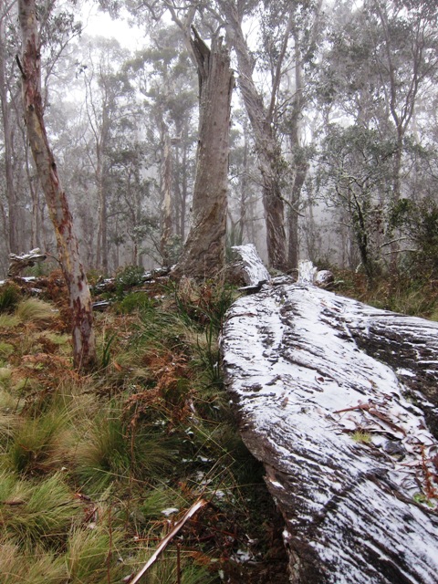 4. Barrington Trail.JPG