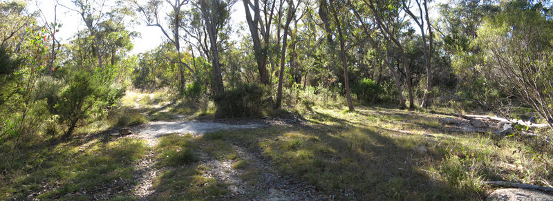 Mt Norman Firebreak.jpg