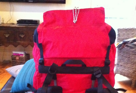 Rucksack pocket rear view.jpg
