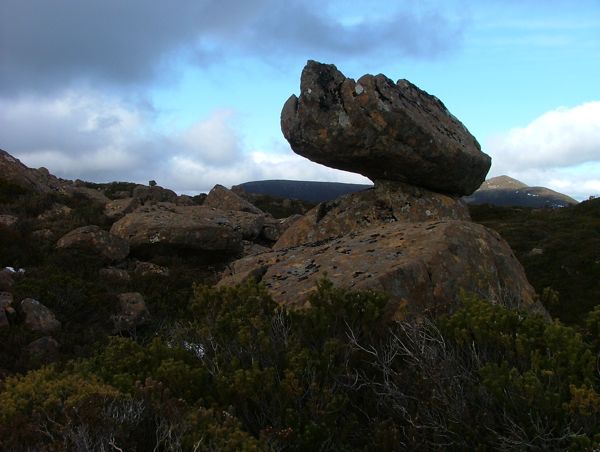 DSCF3644.jpg