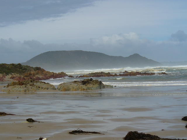 P1010394.JPG