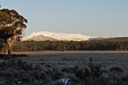 a Mt Gell.JPG