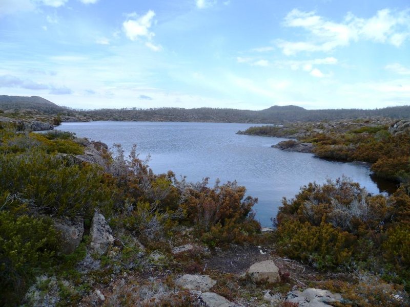 P1000810d.jpg