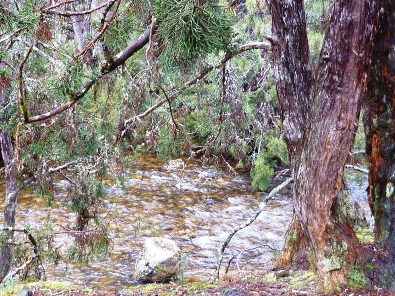 P1000843d.jpg