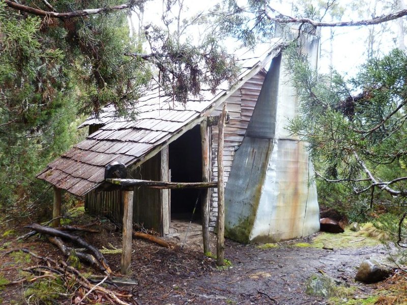 P1000844d.jpg