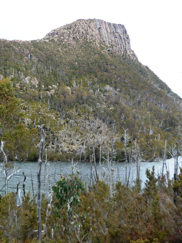 P1000853d.jpg