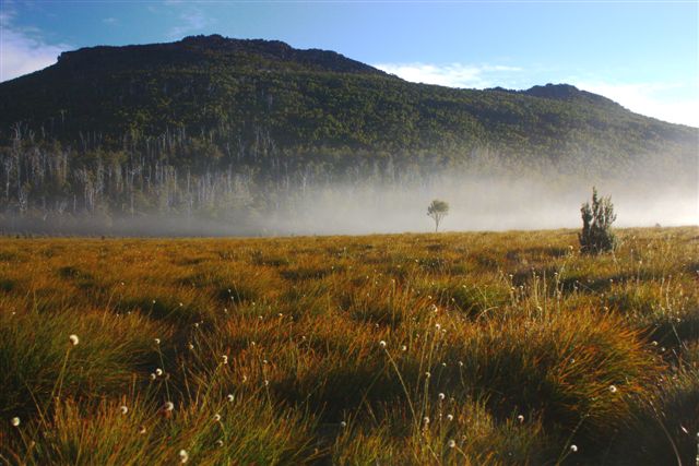 857 Cuvier valley.JPG