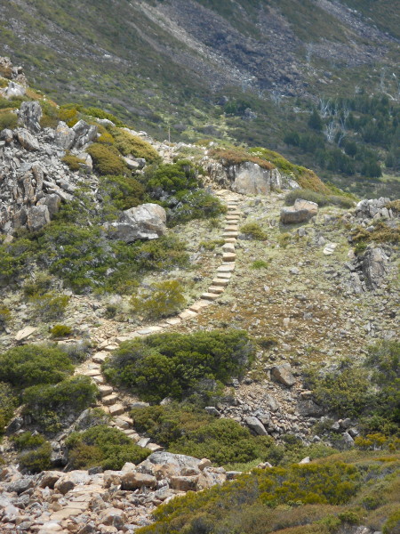aIMG_0001.JPG