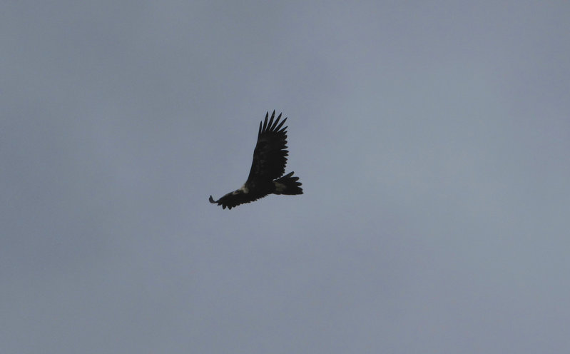 IMG_1277.JPG