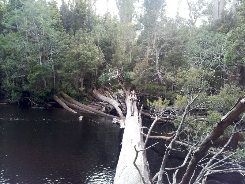 20121203_105201 copy.jpg