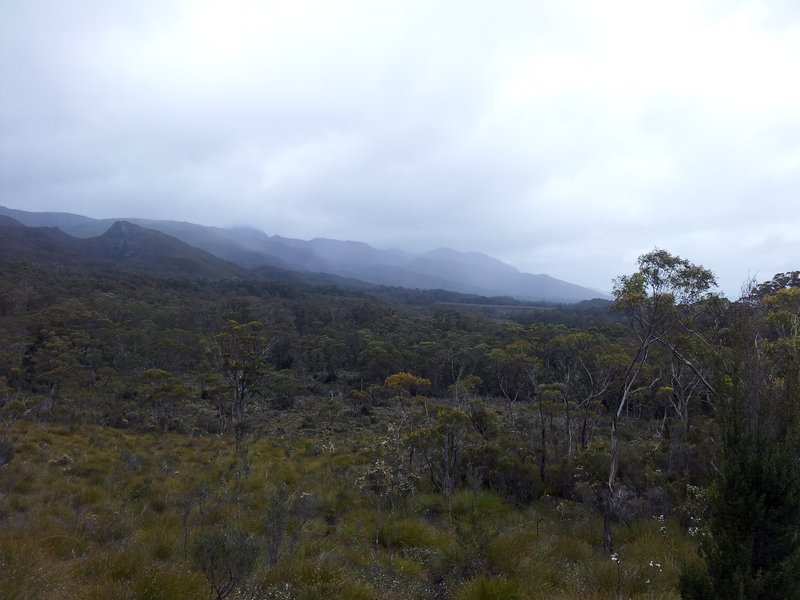20121203_134652 copy.jpg