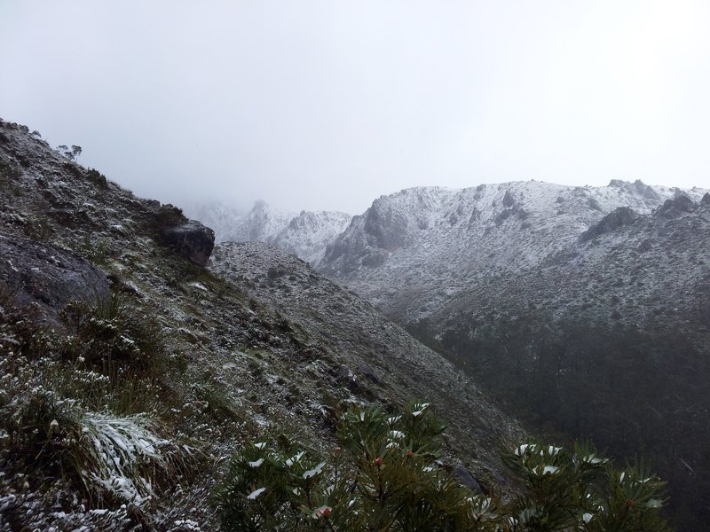20121204_072814 copy.jpg