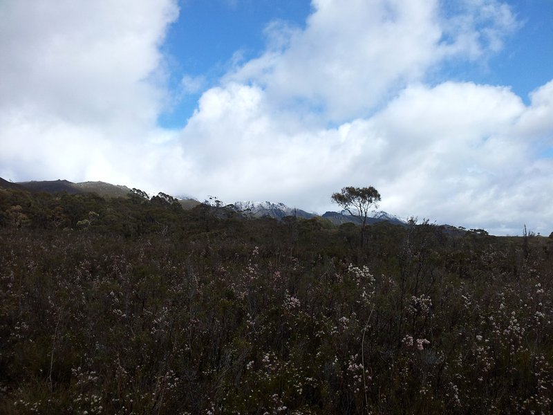 20121204_094913 copy.jpg