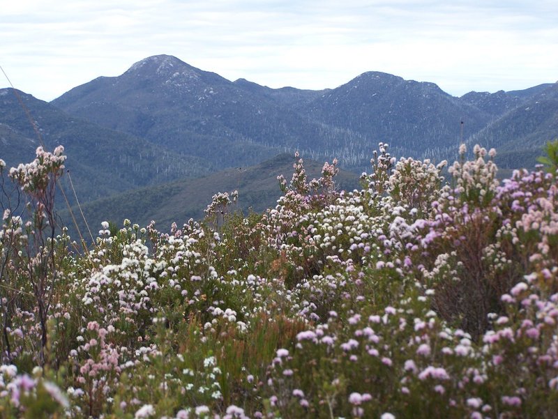 Mt Meredith.JPG