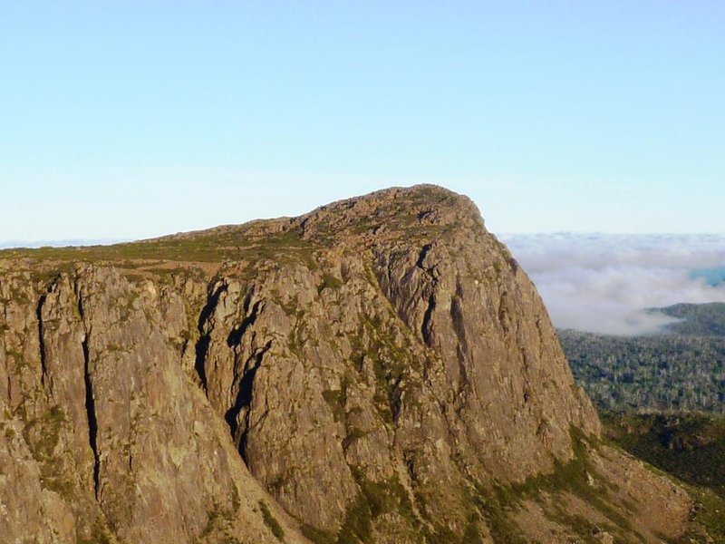 P1010145d.jpg