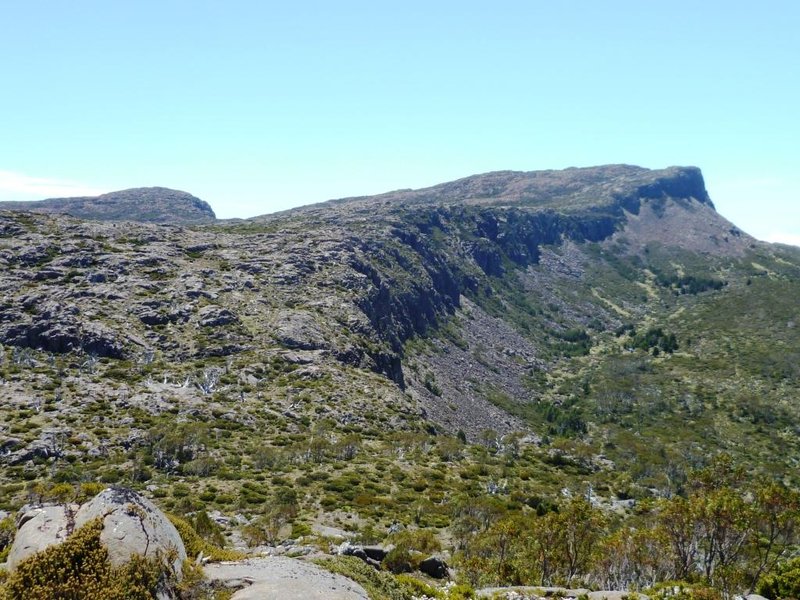 P1010168d.jpg