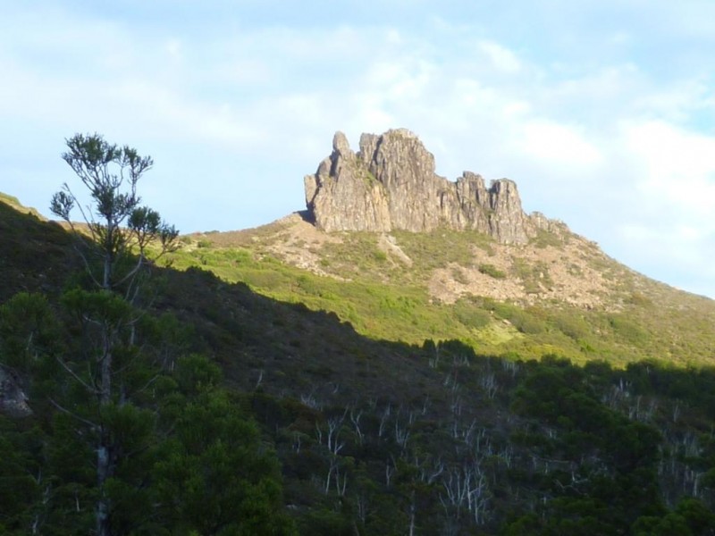 P1010258d.jpg