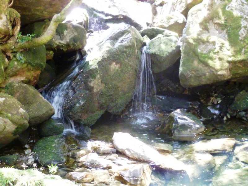 P1010237d.jpg