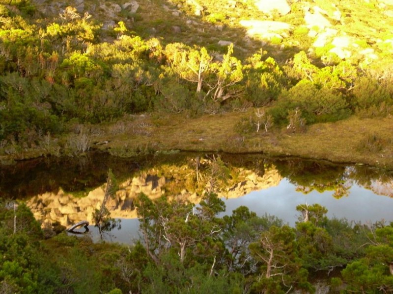 DSCN1793d.jpg