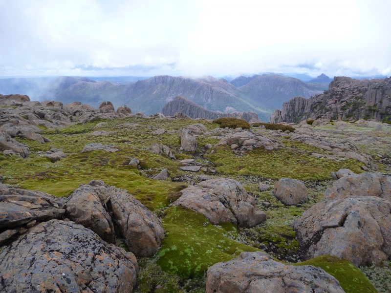 smallP1040711.jpg