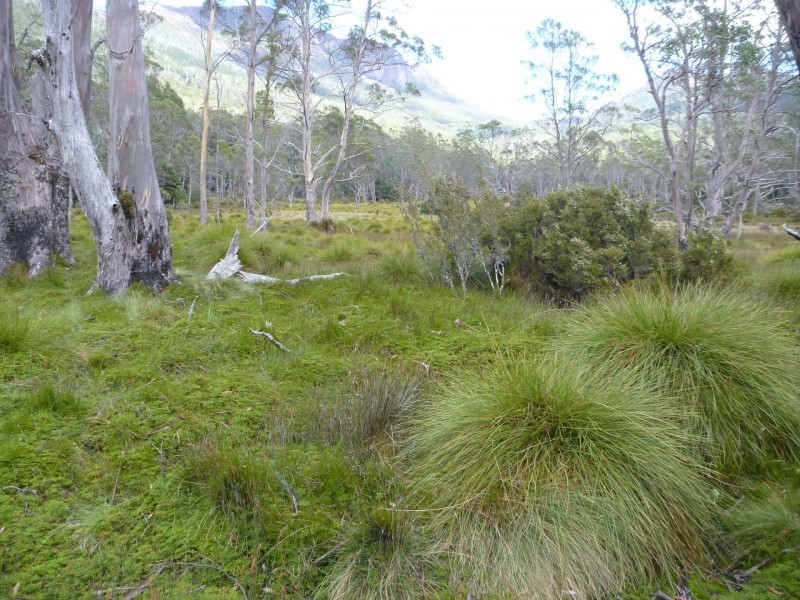 smallP1040656.jpg