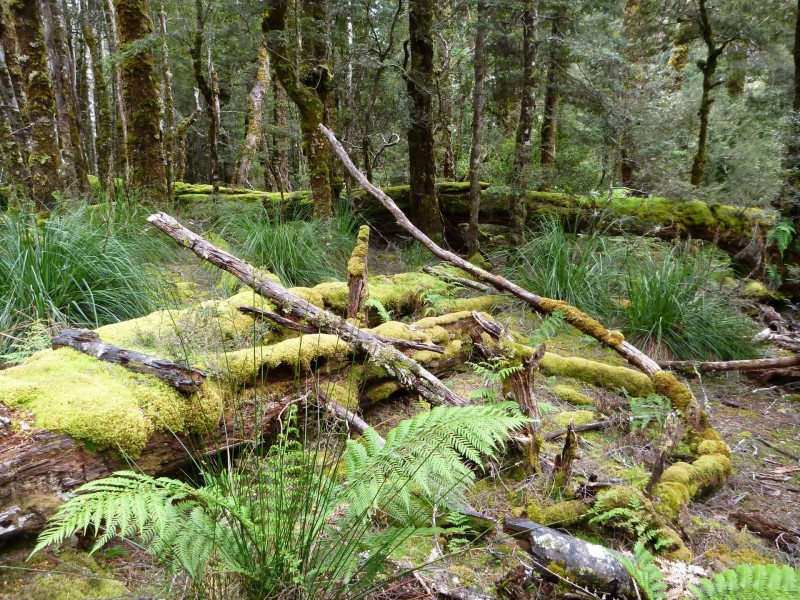 smallP1040660.jpg