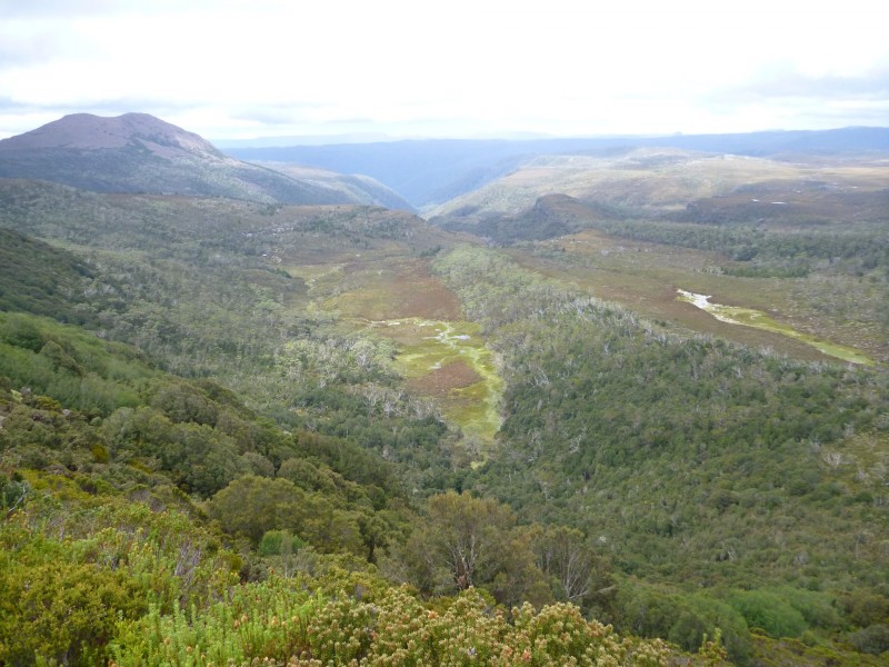 smallP1040576.jpg