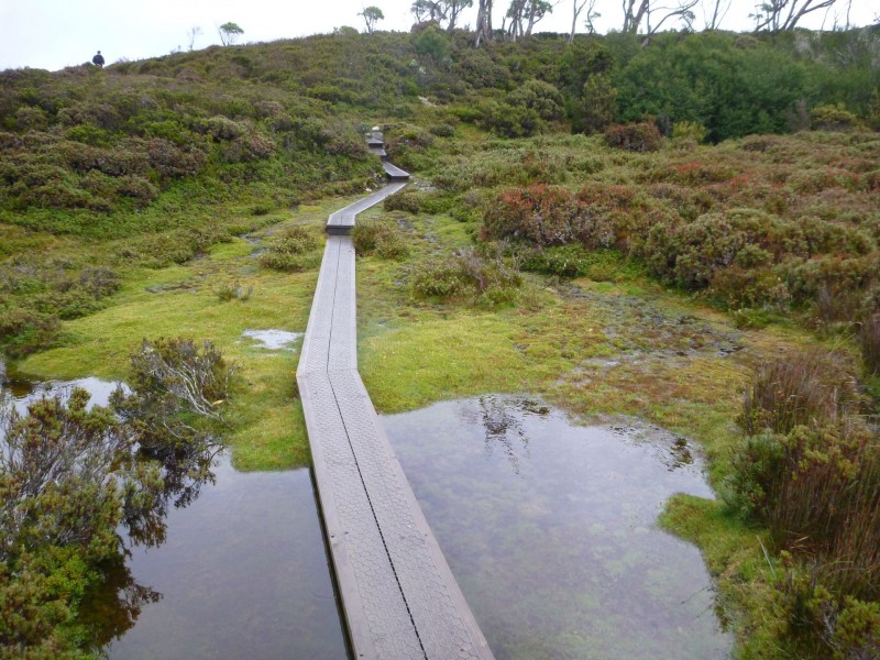 smallP1040594.jpg