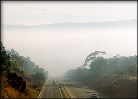 smog_02.jpg
